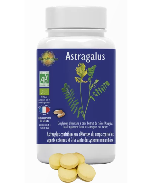 Astragalus Astragale Bio Comprimés